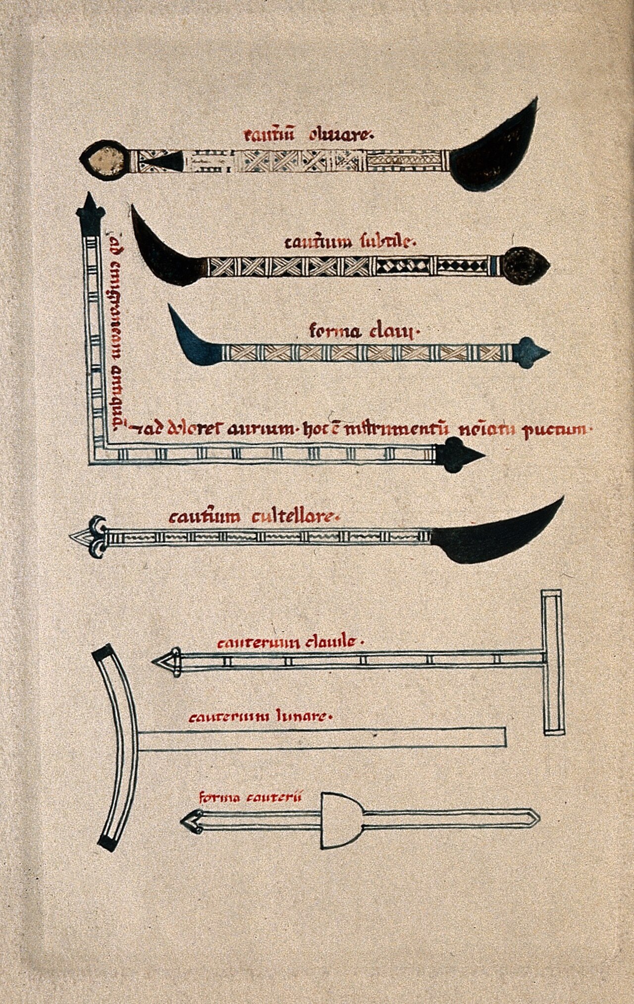 Antique drawing of surgical cautery irons laid out in a row